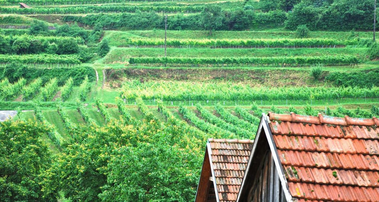 Weingut Jakob'S Ruhezeit マウターン エクステリア 写真